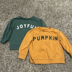 Little Co Seasonal sweatshirts